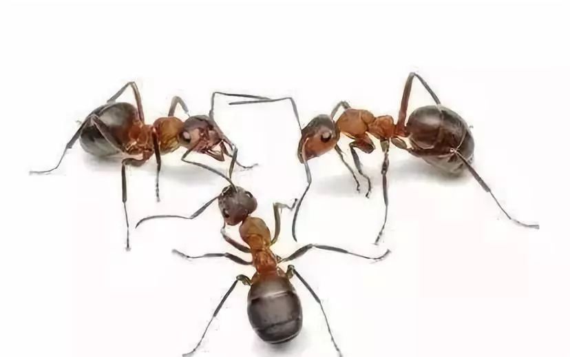 360se_picture (3).jpg