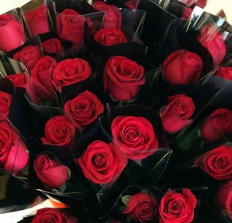 1583718433989829.jpg 1583718433989829.jpg