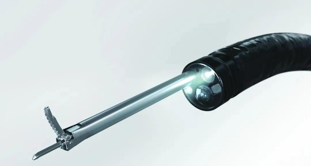 1613611942586771.jpg 2.jpg