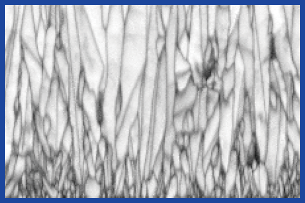 1621409460521521.png 4.png