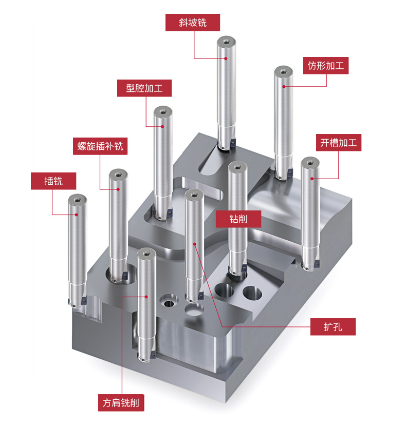 1660550822235683.jpg 790新_03.jpg