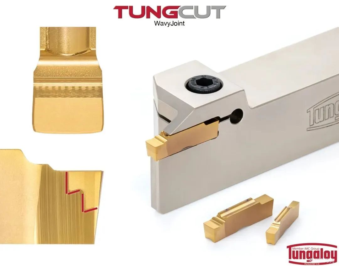 1663135768359886.jpg 1663135768359886.jpg